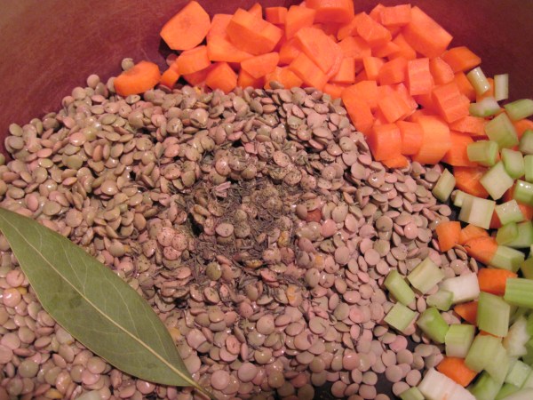 Ingredients for Classic Lentil Soup