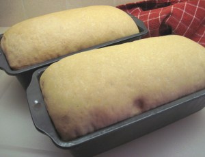 bread risen in the pan