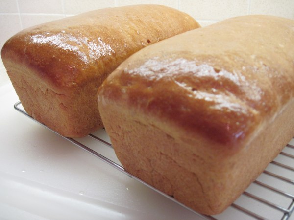 cooling on the rack 2