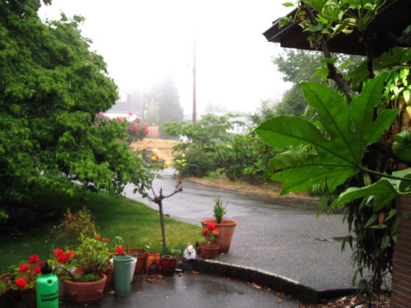 July 16 ... 57 degrees and raining