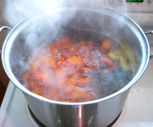boiling carrots_edited-1