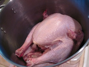 Turkey in the pot