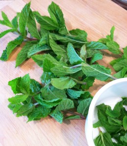Fresh mint