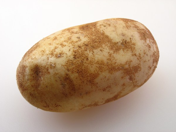 Russet potato