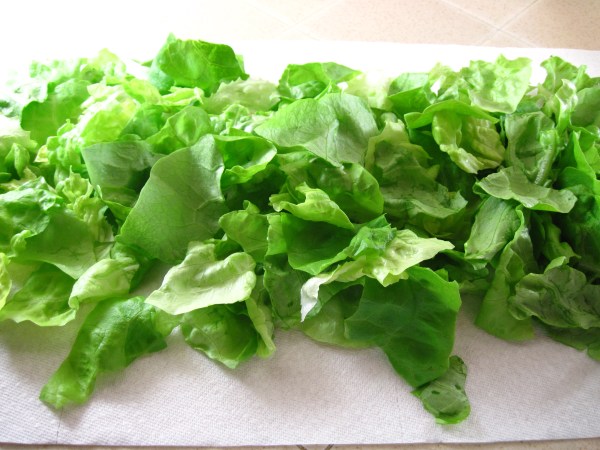 Lettuce on paper towel