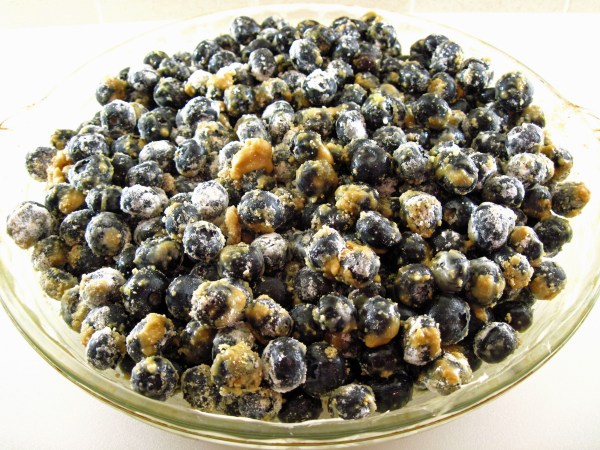Blueberries in pie plate