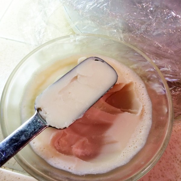 bacon grease