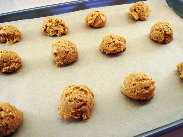 Ready for freezer.JPG