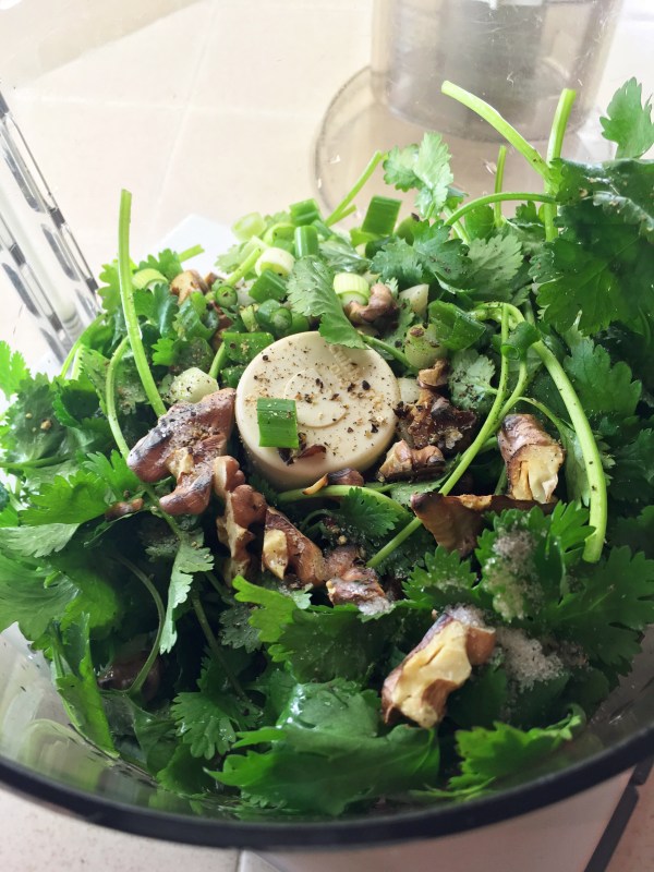 cilantro-walnuts-in-food-processor