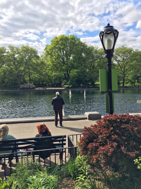 Sailboat Pond Central Park