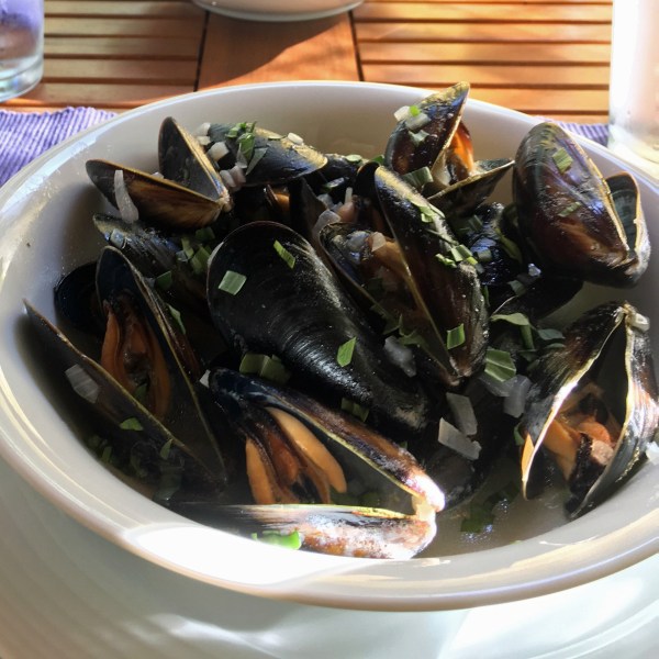 Mussels