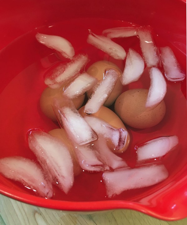 Chilling in ice water.jpg