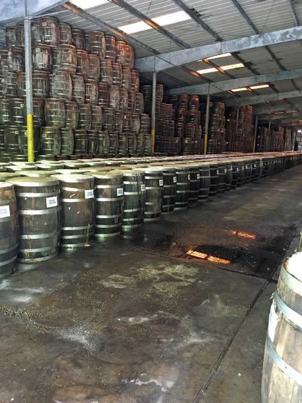 Barrels of Tabasco.jpg