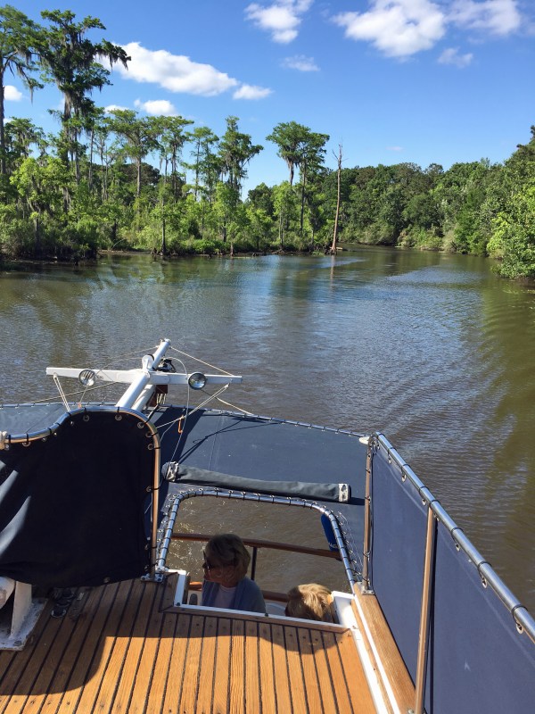 Cruising down the Tchefuncte River near Madisonville, LA