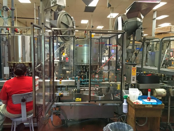 Putting the caps on Tabasco.jpg