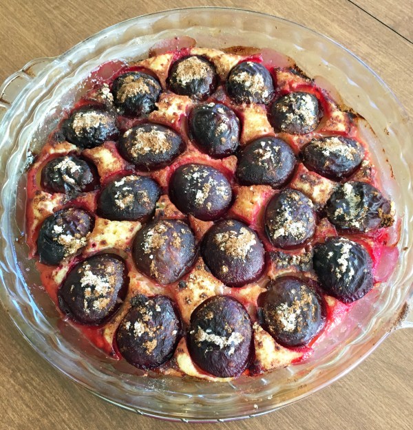Italian Plum Torte