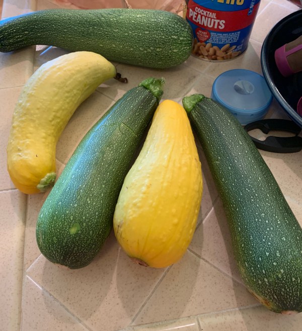 Zucchini