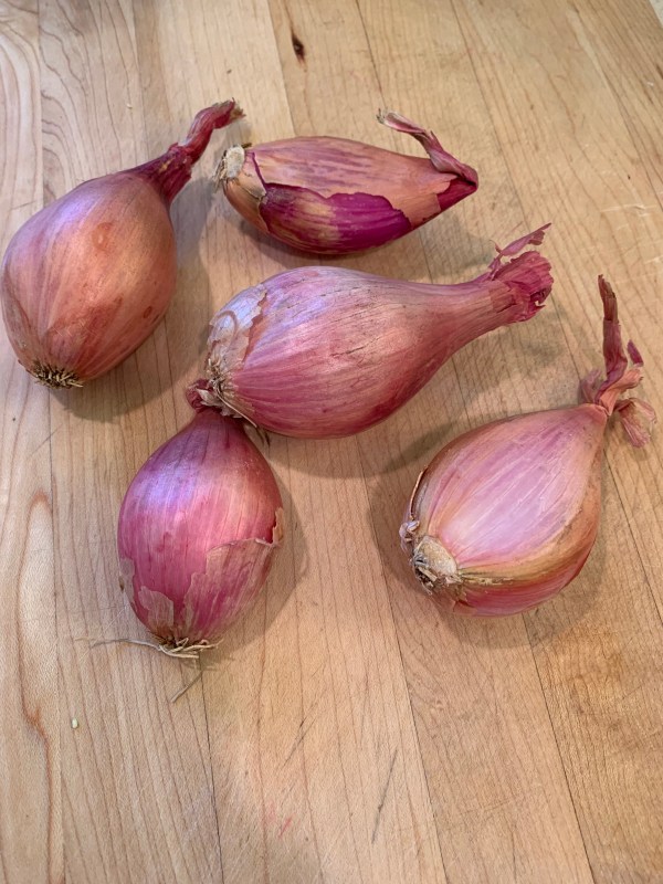 Shallots